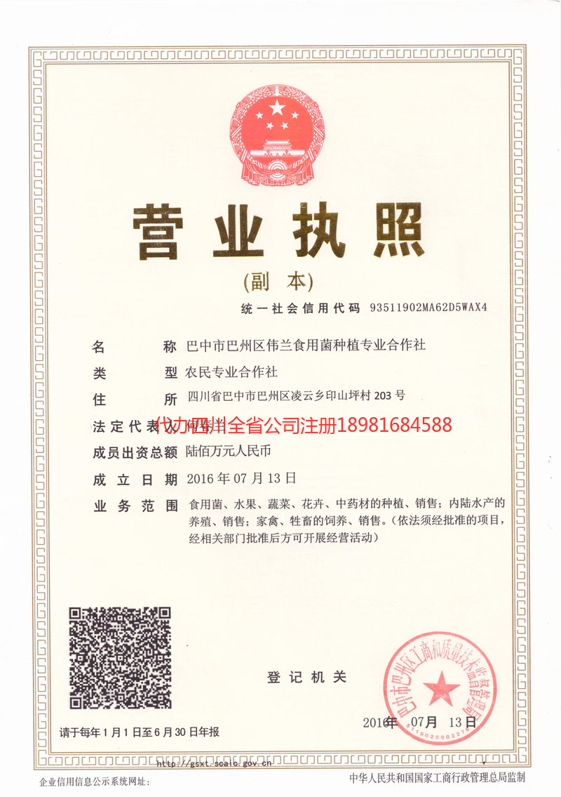 辛集辛集伟兰食用菌种植专业合作社